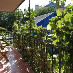 Гостевой дом на Ростовской 9, Ейск, Краснодарский край