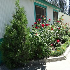 База отдыха Песчаная коса, Ейск, Краснодарский край