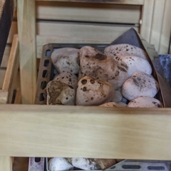 Отель Август, Екатеринбург, Свердловская область