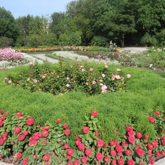 Гостиница Октябрьская, Екатеринбург, Свердловская область