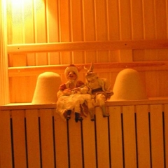 Гостиница Tea Rose, Екатеринбург, Свердловская область