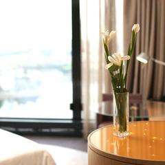 Отель Хаятт Ридженси Екатеринбург, Екатеринбург, Свердловская область