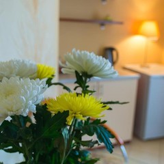 Отель Сьют, Екатеринбург, Свердловская область