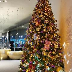 Отель Хаятт Ридженси Екатеринбург, Екатеринбург, Свердловская область