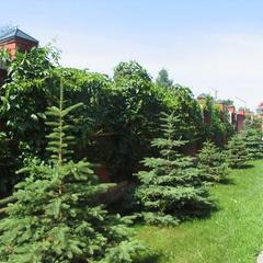 Коттедж На Зеленом, Екатеринбург, Свердловская область