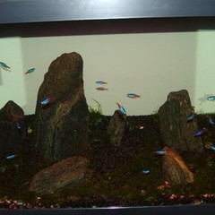 Гостиница Свердлова 27, Екатеринбург, Свердловская область