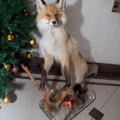 Коттедж На Зеленом, Екатеринбург, Свердловская область