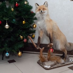 Коттедж На Зеленом, Екатеринбург, Свердловская область