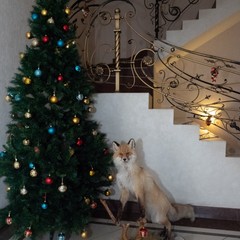 Коттедж На Зеленом, Екатеринбург, Свердловская область