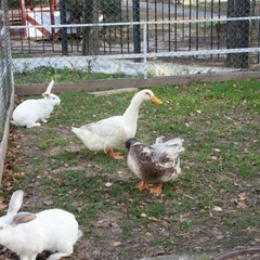 База отдыха Шарташ, Екатеринбург, Свердловская область