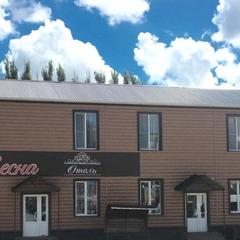 Гостиница Весна, Елец, Липецкая область