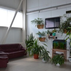 Гостиница ФОК Дельфин, Ершов, Саратовская область