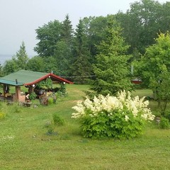 База отдыха Медвежий угол, Жалыбня, Тверская область