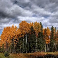 База отдыха Медвежий угол, Жалыбня, Тверская область