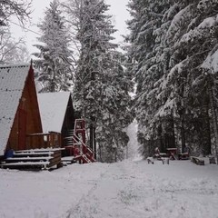 База отдыха Медвежий угол, Жалыбня, Тверская область