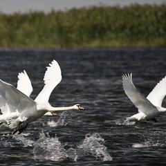 Туристический комплекс Надежда, Жан-Аул, Астраханская область