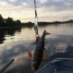 База отдыха Медвежий угол, Жалыбня, Тверская область