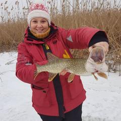 База отдыха Лесная деревня, Жан-Аул, Астраханская область
