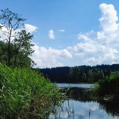 База отдыха Медвежий угол, Жалыбня, Тверская область