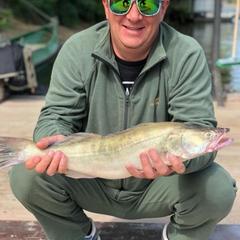 База отдыха Лесная деревня, Жан-Аул, Астраханская область