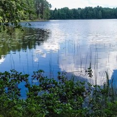 База отдыха Медвежий угол, Жалыбня, Тверская область