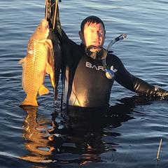 База отдыха Лесная деревня, Жан-Аул, Астраханская область