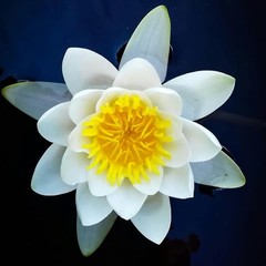 База отдыха Медвежий угол, Жалыбня, Тверская область