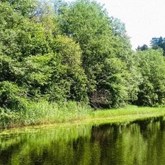 База отдыха Медвежий угол, Жалыбня, Тверская область