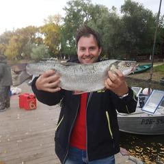 База отдыха Лесная деревня, Жан-Аул, Астраханская область