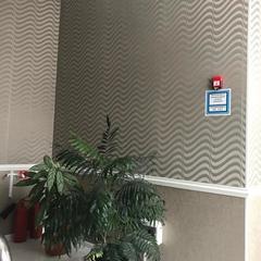 Гостевой дом LUXOR, Ессентуки, Ставропольский край