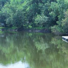База отдыха Лесная деревня, Жан-Аул, Астраханская область