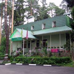 Отель Лина, Жуковский, Московская область