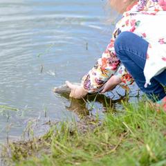 Загородный клуб Журавка, Журавка, Брянская область