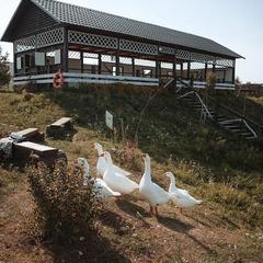 Загородный клуб Журавка, Журавка, Брянская область