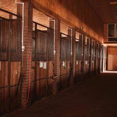 Загородный клуб Журавка, Журавка, Брянская область