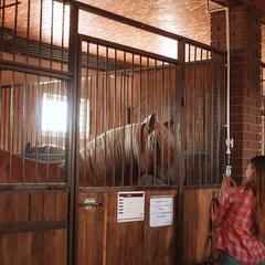 Загородный клуб Журавка, Журавка, Брянская область