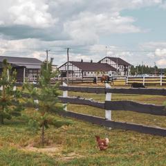 Загородный клуб Журавка, Журавка, Брянская область
