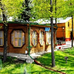 Дом отдыха Голубой огонёк, Задонск, Липецкая область