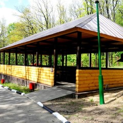 Дом отдыха Голубой огонёк, Задонск, Липецкая область