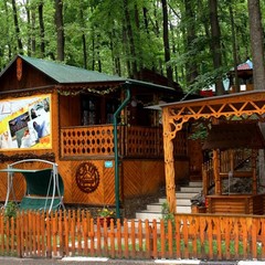 Дом отдыха Голубой огонёк, Задонск, Липецкая область