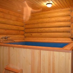 Дом отдыха Голубой огонёк, Задонск, Липецкая область