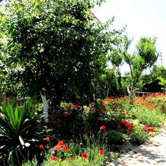 Усадьба Радуга, Заозерное, Крым