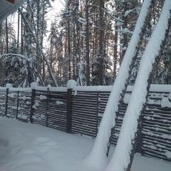 База отдыха Дачи «Еду Не Еду», Запорожское, Ленинградская область