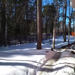 База отдыха Дачи «Еду Не Еду», Запорожское, Ленинградская область