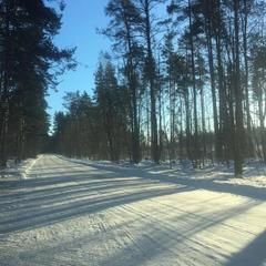 База отдыха Дачи «Еду Не Еду», Запорожское, Ленинградская область