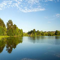 База отдыха Дачи «Еду Не Еду», Запорожское, Ленинградская область
