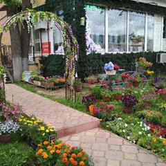 Гостиница Звенигород, Звенигород, Московская область