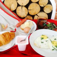 Гостиница Звенигород, Звенигород, Московская область