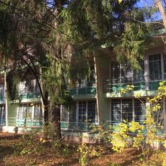 Хостел Дачная Резиденция, Звенигород, Московская область