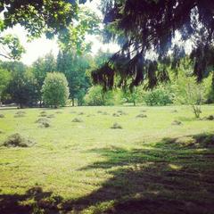 Отель Арт Хаус, Звенигород, Московская область